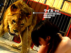 Asian Sex inside a Lions den