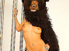 Sexy Babe Strips Off Bear Costume striptease sexy 