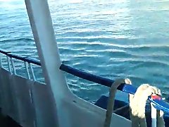 Amateur public porn on a ferry