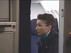 stewardess strip  
