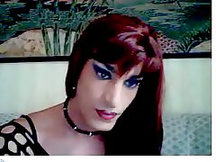 travestiet tranny cammen shemales transseksueel