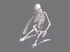 funny skeletons