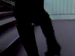Black stockings and white garterbelt upskirt 