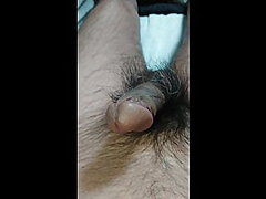 Normal penis normal cock normal dick 