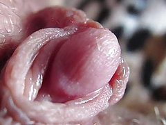 milf with hairy pussy teasing her slimy 