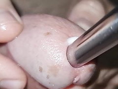 Anal play + urethral sounding 