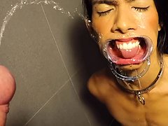 Piss and blowjob session with a ladyboy 