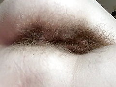 âne, close up, masturbation, cheveu