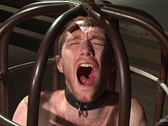 anal dick, cage, bound