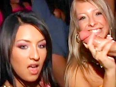 Sluts are sucking dicks in the night club 