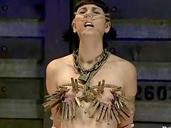 too much clothespins for her small tits Coral Aorta 